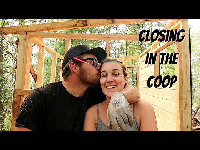 Closing In The New Chicken Coop | Solid Chicken Coop Build