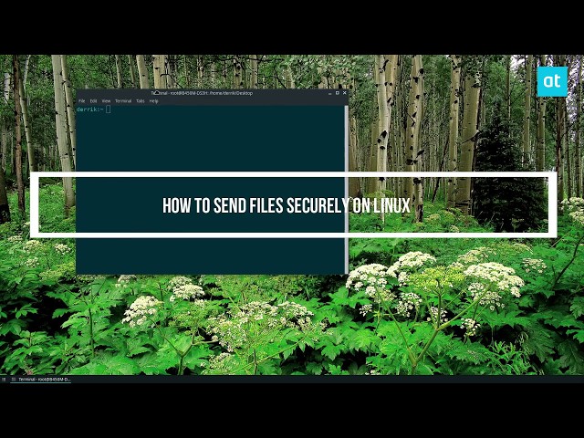 How to send files securely on Linux