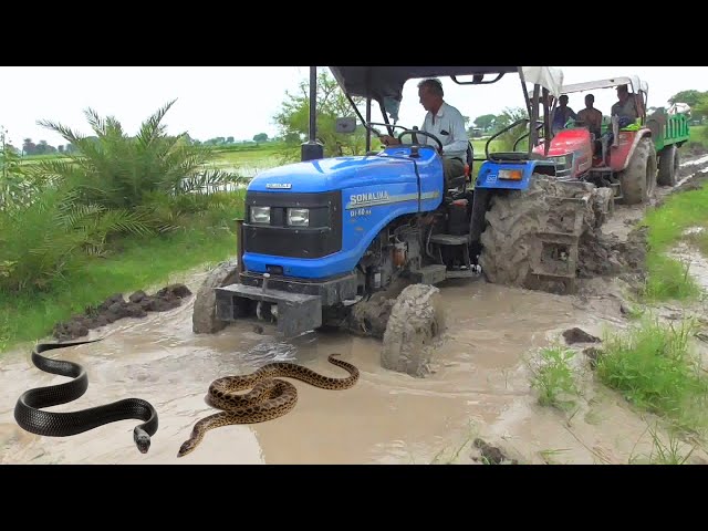 Snakes comes | Mahindra Arjun NOVO 605 Di-i Stuck again in Mud Pulling By Sonalika 60 Rx