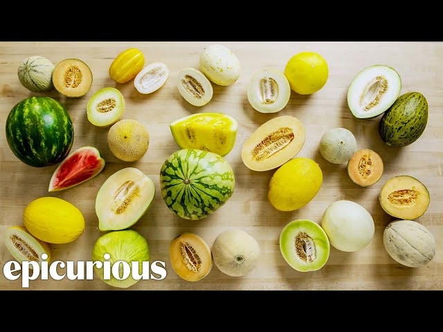 Trying Every Type Of Melon | The Big Guide | Epicurious