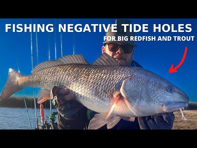 What To Look For When Fishing Negative Tide Holes
