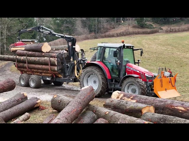 Forstarbeit: Holzrücken | Holztransport | Aufarbeitung | MF 5430, MF 4225, Nokka 952, Tiger, 2024