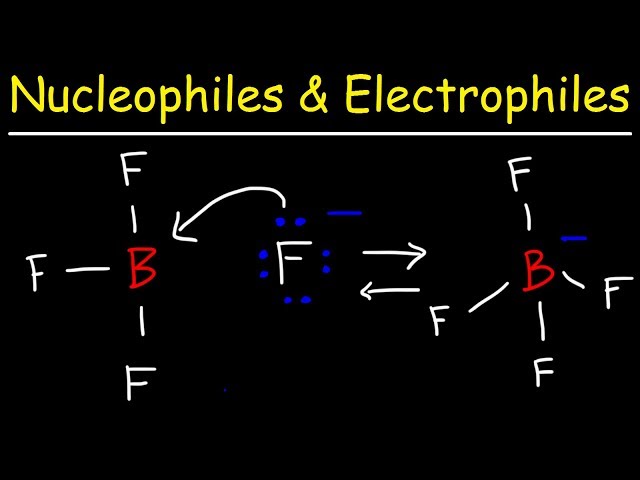 Nucleophiles and Electrophiles