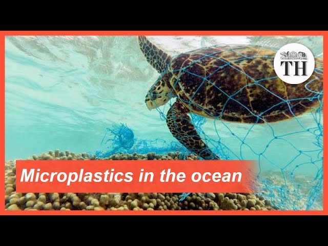 All about microplastics