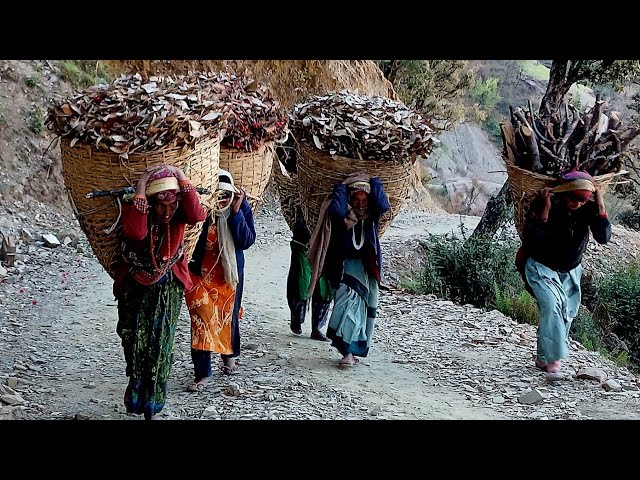 most peaceful And Relaxing Himalayan village life || Daily Activities of people Lifestyle completion