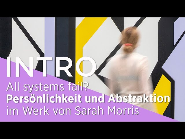 INTRO All systems fail? Persönlichkeit und Abstraktion im Werk von Sarah Morris
