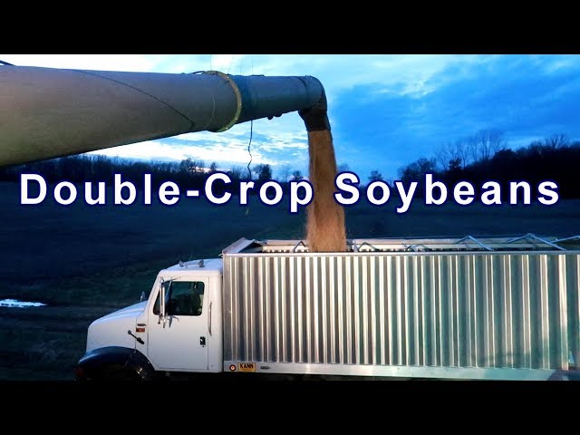 Double-Crop Soybean Harvest Before the Snow and Ice!