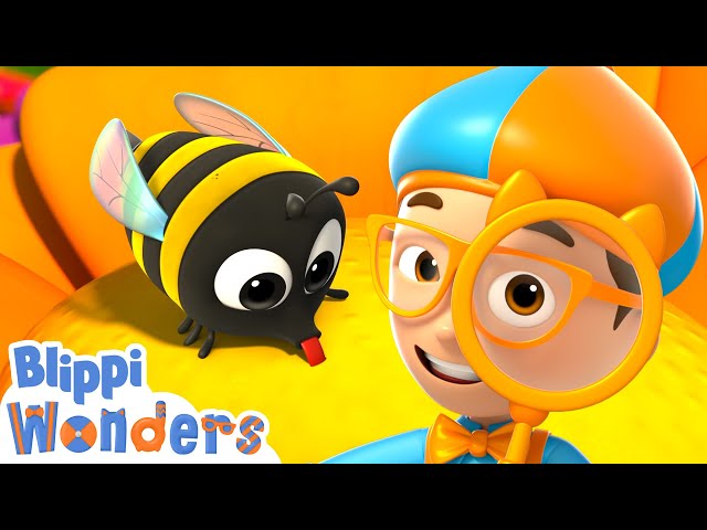 Blippi buzzes to see just how honey is made! | Blippi Wonders Educational Videos for Kids