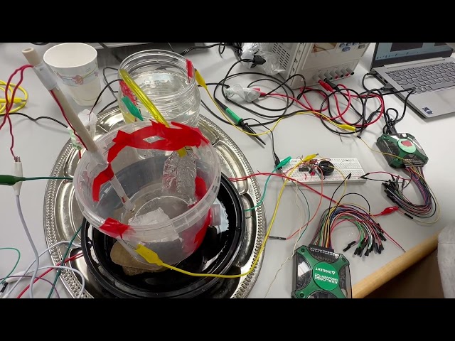 Behind the scenes - 5 , Final project Embedded Systems