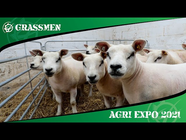 TAMNAMONEY TEXELS - GRASSMEN AGRI EXPO DAY 2