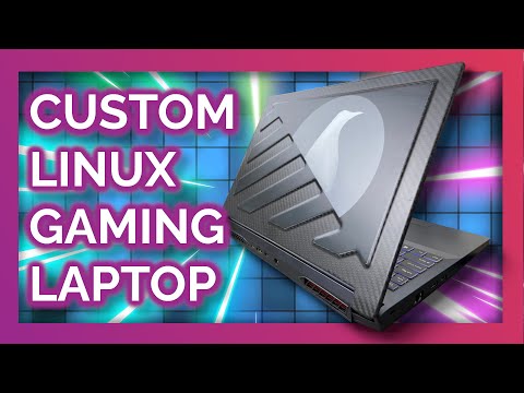 These guys made me a CUSTOM gaming laptop, running LINUX!