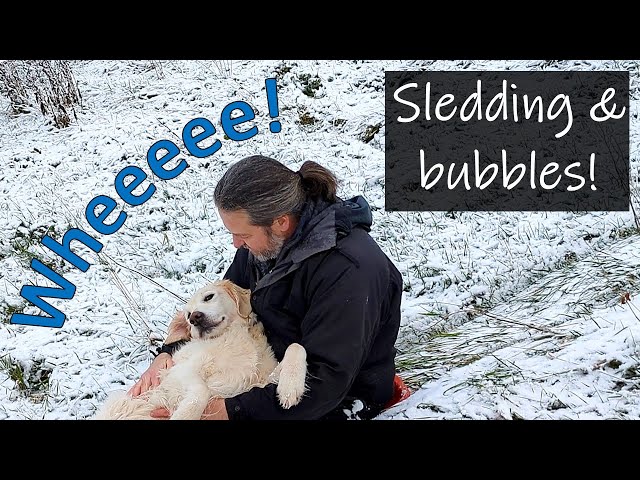 Ice bubbles and next-level dog sledding!