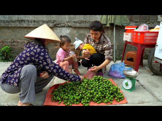 Thuy & her two children harvest Figs to sell at the market & How to make vinegar from Figs | Cooking