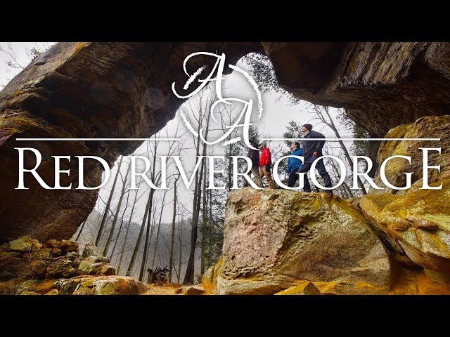Red River Gorge 4K | Hiking, Camping, and Backpacking Kentucky's Hidden Wonders