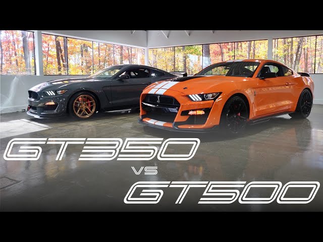 Shelby GT500 vs GT350R | Which Is The Ultimate Mustang?