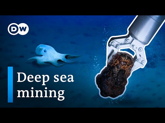 Why countries are starting to dig up the ocean