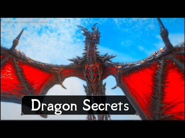 Skyrim: 5 Things They Never Told You About Dragons