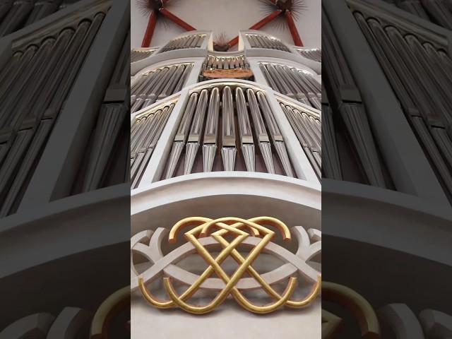The best pipe organ in the world 😇 #music #organ #church