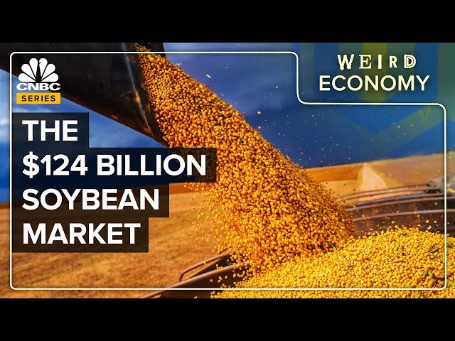 Why The U.S. Is Now Obsessed With Soybeans