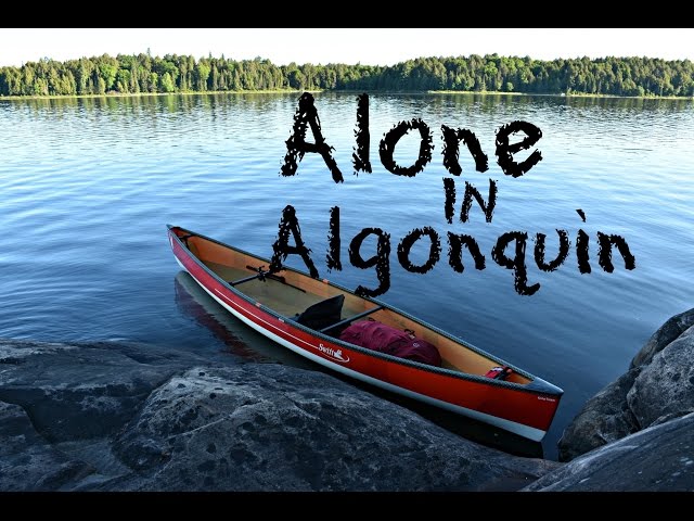 Alone In Algonquin. Day 1 - MOOSE