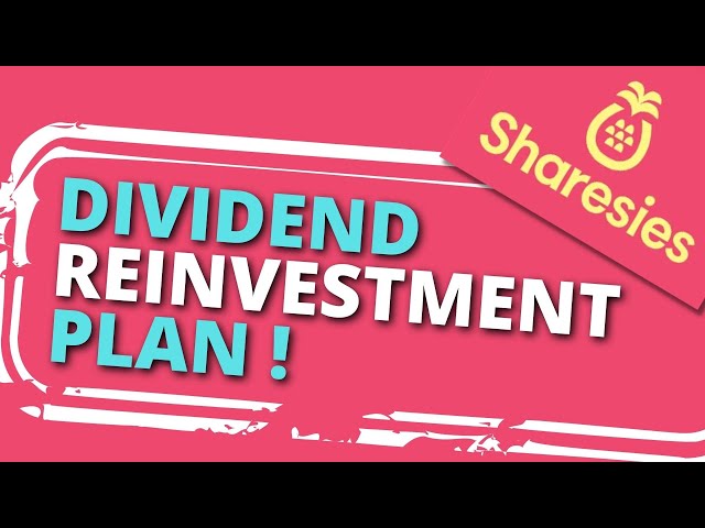 Sharesies New DRP Plan! (Dividend Reinvestment Plan)