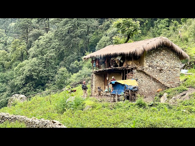 Surviving Life in Nepali Mountains during the Rainy Season | Very Peaceful and Relaxing | IamSuman