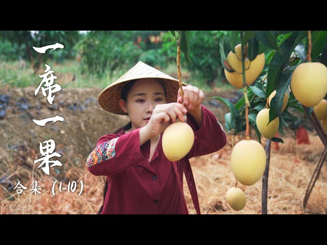 Fruit Compilation 1 | Lychee, Longan, Mango... A collection of Yunnan fruits documented before