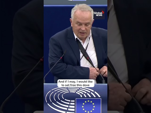 EU lawmaker releases dove in parliament: "We need peace"