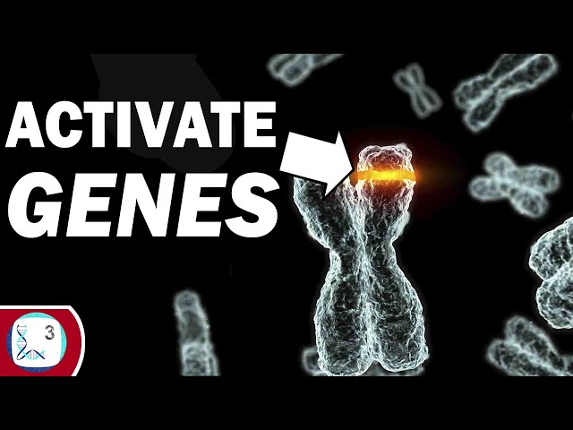 How Epigenetics Helps Us To Cure Diseases