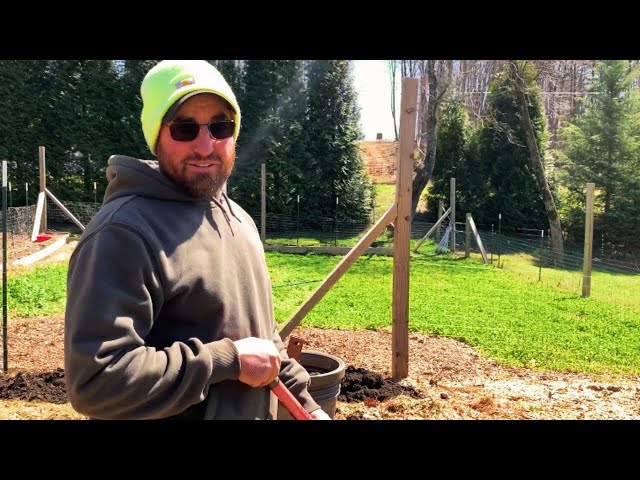 This Isn’t A Regular Garden | Homestead Vlog | March 28, 2024
