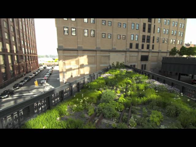 Filming the High Line: Day One