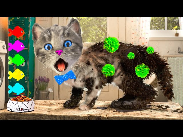 LITTLE KITTEN ADVENTURE GAMES - CARTOON CAT AND ANIMALS - FUNNY CARTOON VIDEO FOR TODDLERS