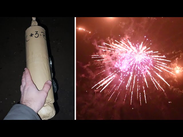 Shell of the week #2 | #fireworks #shorts