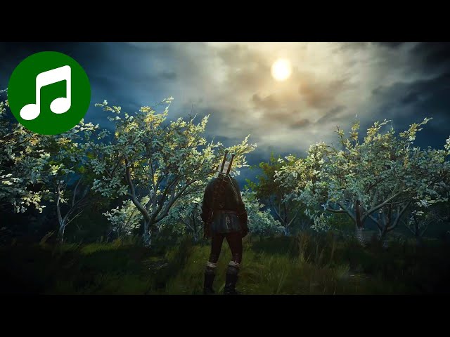 Relaxing WITCHER 3 Ambient Music 🎵 Windy Fields (Witcher 3 Soundtrack | OST)
