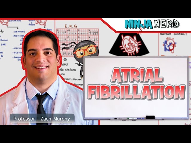 Atrial Fibrillation | Clinical Medicine