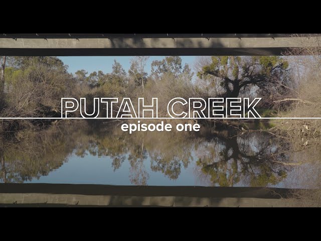 thought/space: ep1: Putah Creek