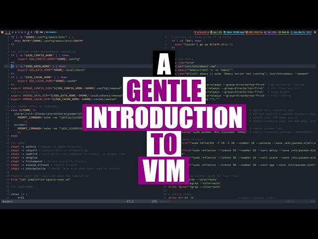 The Absolute Basics of Vim (It's Not THAT Hard!)