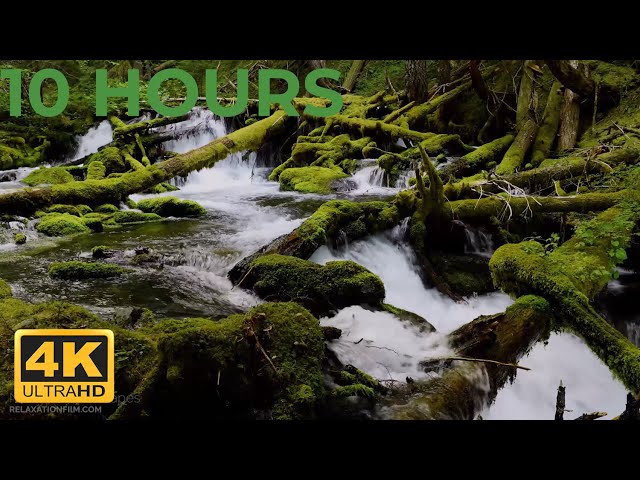 💤 Calm River Sounds in Forest (4k UHD) for Relaxing, Sleeping & Spa