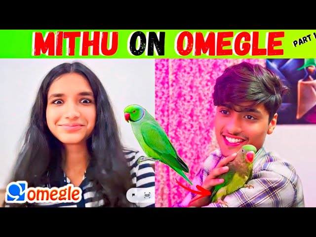 MITHU DON ON OMEGLE ( part 1 )