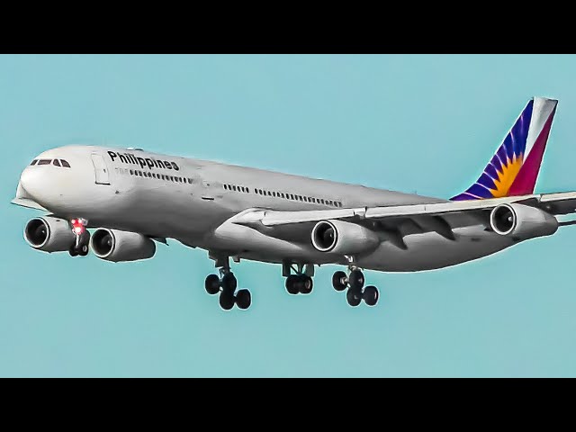 32 BIG PLANE LANDINGS at SFO | San Francisco Airport Plane Spotting | A340 747 A380 777 A350 787
