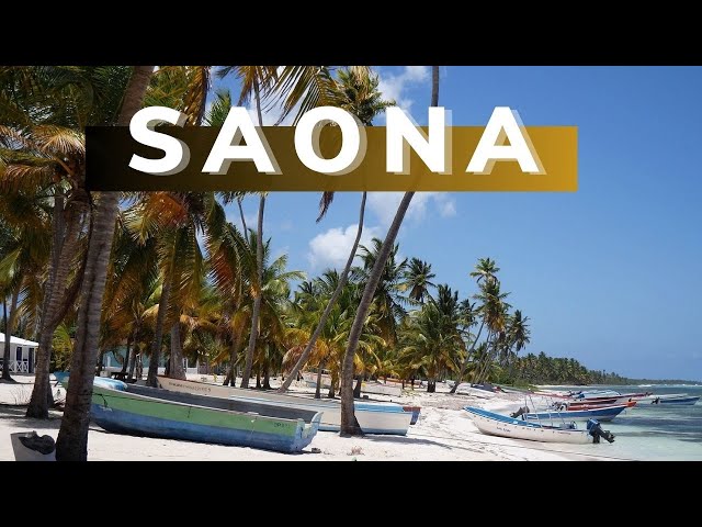 Isla Saona A Day in Paradise | Boat Excursion From Punta Cana | Dominican Republic
