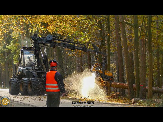 PONSSE BEAVER Spezialbaumfällung auf Straße Holzernte 2021 Harvester am Limit Holzfäller im Einsatz