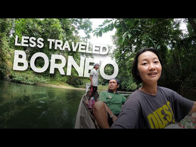 The very REMOTE island of BORNEO. Longhouse, Jungle food and Orang Utan! 神秘婆罗洲，大猩猩，长屋，雨林美食! EP38