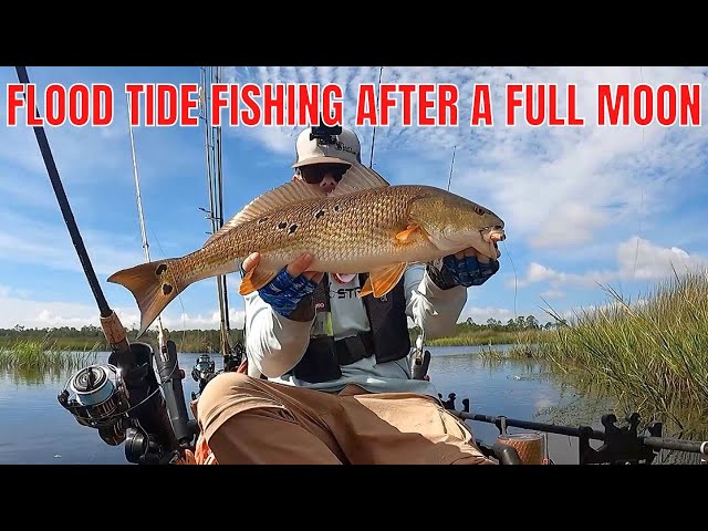 How To Fish A Flood Tide After A Full Moon