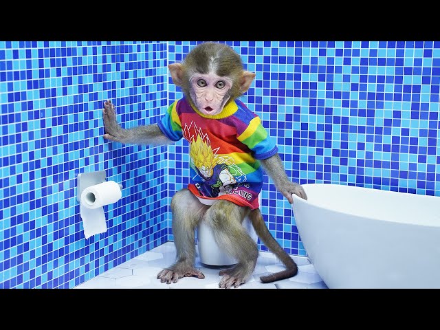 Baby Monkey Ben Ben go to the Toilet and playing with the Chuppy So cute