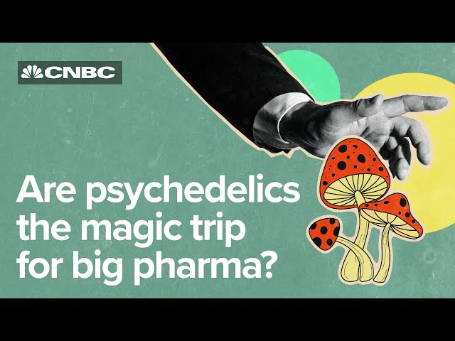 Psychedelics might change mental healthcare. Will investors follow?