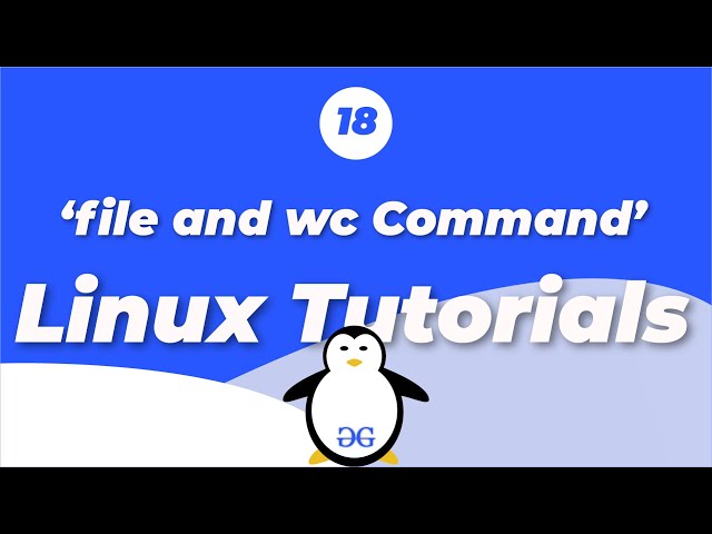 Linux Tutorials | file and wc commands | GeeksforGeeks