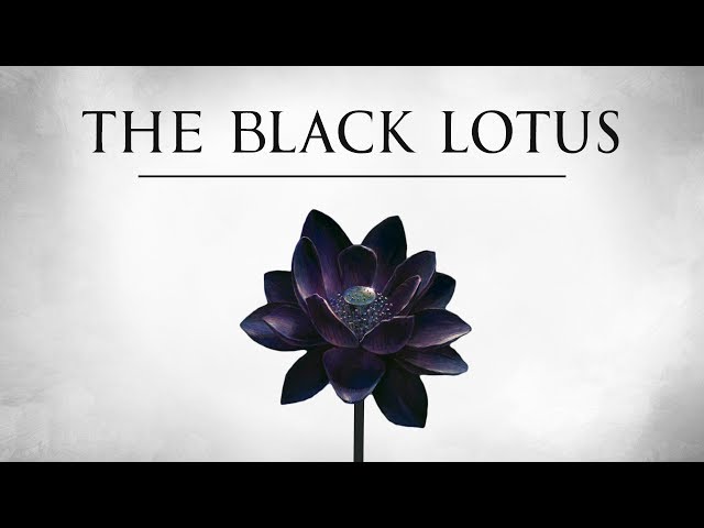The Black Lotus | The History of Magic's Most Valuable Card