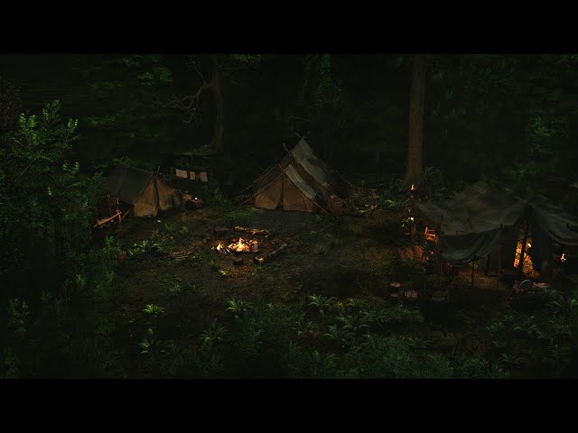 Encampment | Forest Sounds at Night