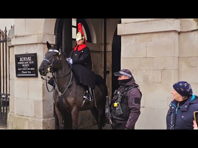 OFFICER PROTECT THE HORSE AND GUARD FROM NOISY PROTESTERS!